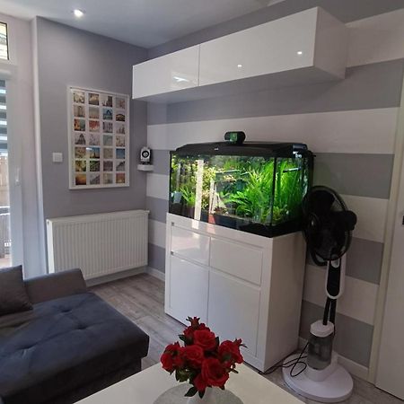 Apartament Rodzinny Z Ogrodkiem W Centrum Gizycka Giżycko Zewnętrze zdjęcie